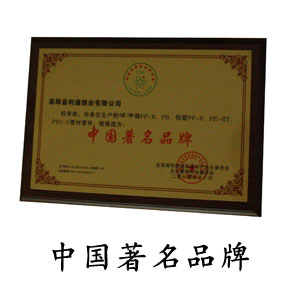 中國著名品牌
